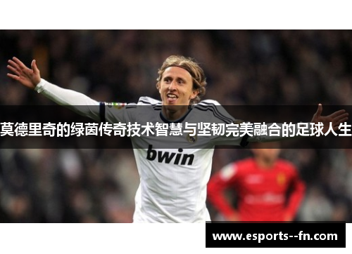 莫德里奇的绿茵传奇技术智慧与坚韧完美融合的足球人生 莫德里奇的绿茵传奇技术智慧与坚韧完美融合的足球人生