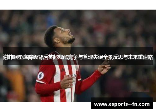谢菲联垫底降级背后英超残酷竞争与管理失误全景反思与未来重建路