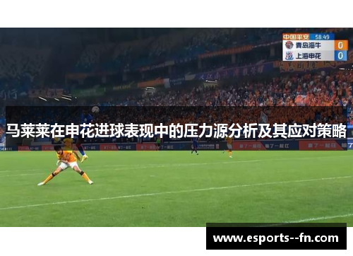 马莱莱在申花进球表现中的压力源分析及其应对策略