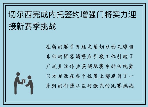 切尔西完成内托签约增强门将实力迎接新赛季挑战